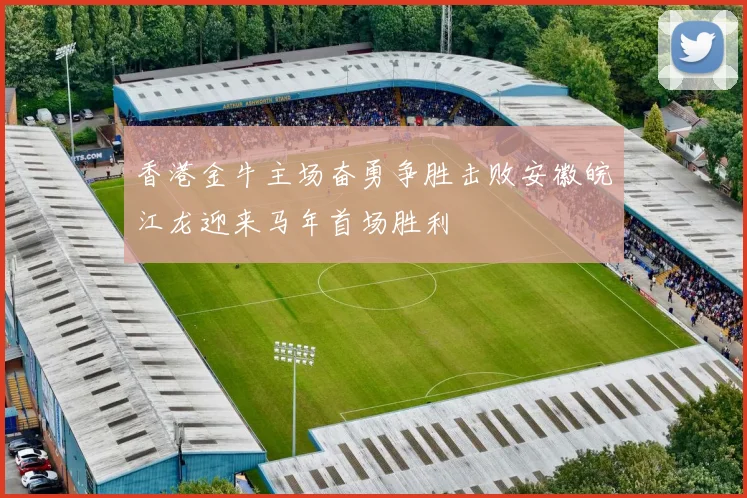 香港金牛主场奋勇争胜击败安徽皖江龙迎来马年首场胜利