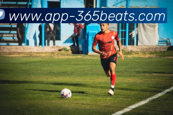 多媒体互动体验