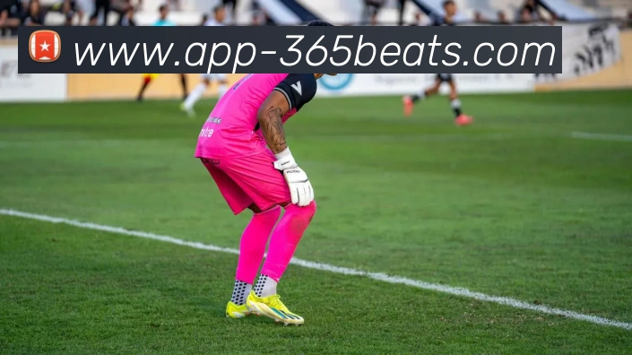 BET365APP 体育赛事宣传图